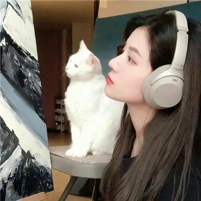 魅力航班