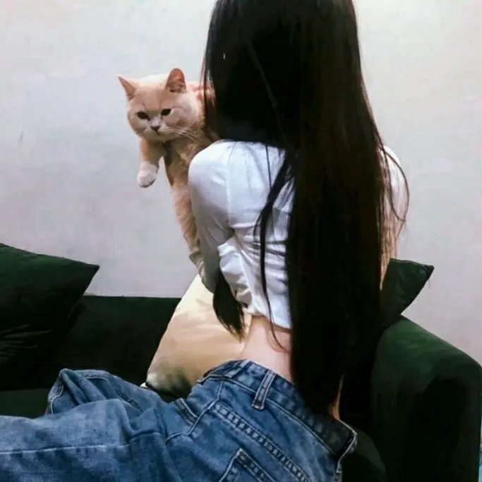 猎犬