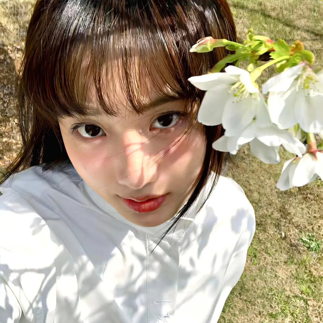 噗通扑通的夏天